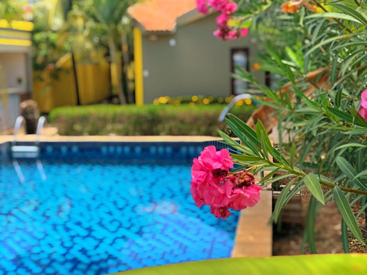 Costeira Da Barra Guest house 2*